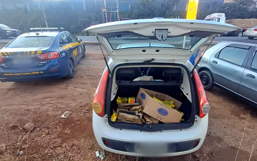 Imagem mostra veículos apreendido após saque de carga de carreta tombada na Rodovia Fernão Dias, em Lavras.