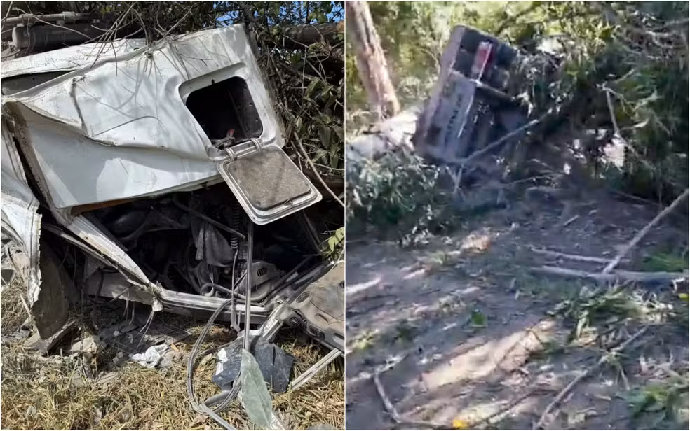Carreta com cimento sai da pista e bate em eucaliptos na BR-265, em Lavras