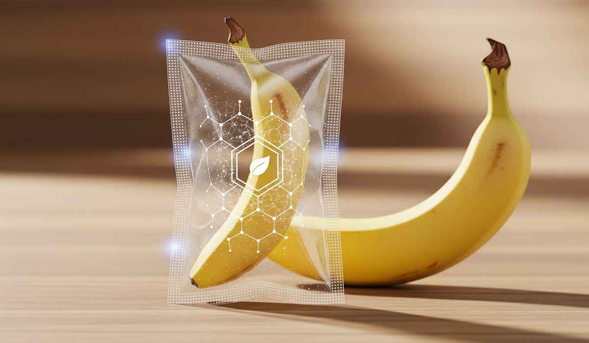  Nova tecnologia mantém frutas frescas por mais dias graças ao Nanossachê biodegradável da UFLA prolonga o frescor de frutas como a banana, ilustrando a inovação brasileira para reduzir perdas pós-colheita e aumentar a sustentabilidade na cadeia de distribuição de alimentos.