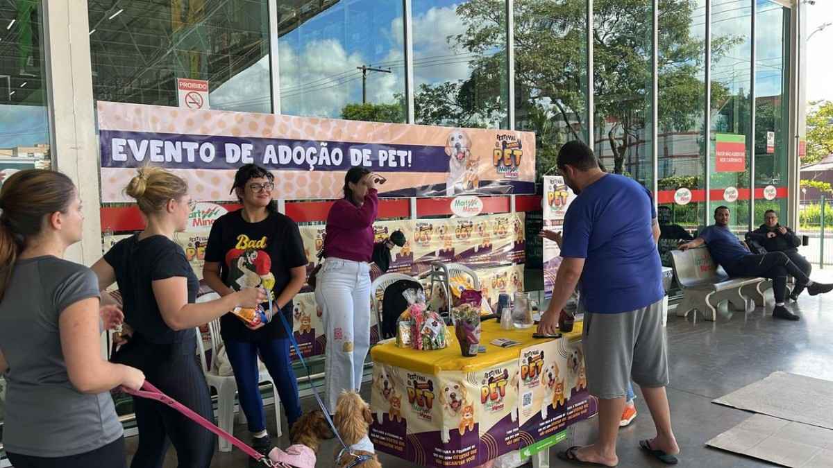 HojeComo um jornalista, em tom informativo, reescreva o texto a seguir em formato de notícia digital, otimizada para SEO e com foco em alta visibilidade para o Google Search Console. Inclua todas as otimizações necessárias para garantir a máxima eficácia. Me ajude também um com snippet completo otimizado para motores de busca e ideal para aparecer nos resultados do Google . Texto a ser reescrito: [O Mart Minas está com chamada pública aberta para ONGs da causa animal interessadas em participar da 4ª edição do evento de Adoção de Pets, que acontecerá no dia 8 de novembro, às 14h, nas unidades participantes da rede, como parte do tradicional Festival Mundo Pet. A ação, que já ajudou mais de 1197 animais a encontrarem um novo lar em 2025, busca novas instituições parceiras em diversas cidades de Minas Gerais. A realização do evento depende diretamente da colaboração com ONGs locais, e a empresa convida as entidades a se juntarem a essa corrente do bem para transformar vidas. As unidades que estão em busca de parcerias com ONGs estão localizadas nas seguintes cidades: Araguari, Araporã, Araxá, Conselheiro Lafaiete, Contagem (bairro Jardim Riacho), Divinópolis (bairros Rancho Alegre e São Judas Tadeu), Extrema, Governador Valadares, Itaúna, Janaúba, Juiz de Fora (bairros Teixeiras e Industrial), Lavras, Montes Claros (bairro Independência), Nova Lima, Pará de Minas, Passos, Poços de Caldas, Santana do Paraíso, São João Del Rei, Três Corações, Uberaba (bairros Santa Maria, Parque das Laranjeiras e Olinda), Uberlândia (bairros Jardim Patrícia e Jardim Botânico) e Varginha. Cada adoção representa um ato de amor que salva, acolhe e renova esperanças. As instituições interessadas podem obter mais informações e acessar o passo a passo do processo por meio do Instagram @martminasatacadoevarejo. As inscrições estão abertas até o dia 30 de outubro, pelo link: https://forms.office.com/r/vZpk4T5Lw1. Com essa iniciativa, o Mart Minas reafirma seu compromisso com a comunidade e com causas sociais diversas. O Festival Mundo Pet ocorrerá entre os dias 30 de outubro e 12 de novembro, oferecendo aos clientes uma ampla variedade de produtos com preços especiais nas modalidades atacado e varejo. Rações, petiscos e itens de higiene estarão em destaque nas ofertas. Clientes que utilizarem o Cartão de Crédito Mart Minas terão vantagens como 40 dias para pagar a fatura e acesso ao preço de atacado em qualquer produto. Para obter o cartão, basta apresentar um documento de identidade na loja. Além disso, é possível aderir gratuitamente ao Clube de Vantagens Mart Mais, que oferece acesso a ofertas exclusivas e wi-fi ilimitado nas lojas. O cadastro pode ser feito pelo link: https://martmais.martminas.com.br/. Sobre o Mart Minas O Mart Minas @martminasatacadoevarejo se mantém em posição de destaque como uma das principais redes de atacado e varejo do país. Atendendo à demanda e necessidade dos seus clientes vendendo tanto no varejo quanto no atacado, a empresa é a segunda maior rede mineira do ranking da Associação Brasileira de Supermercados (ABRAS). Dê destaque para Lavras.] Formato e Requisitos Específicos para a Notícia: Título Principal: Máximo de 56 caracteres, claro, objetivo e amigável aos mecanismos de busca. Meta Descrição: Entre 150 e 160 caracteres, persuasiva, contendo palavras-chave essenciais e um 'call to action' sutil. Frase-Chave de Foco: Defina a melhor frase-chave de foco para este conteúdo. Garanta que ela apareça no título, na meta descrição e pelo menos duas vezes de forma natural no corpo do texto (sendo uma delas no primeiro parágrafo). Tags (Palavras-Chave): Sugira as melhores tags e hashtags relevantes para o tema, visando ranqueamento. Corpo do Texto: Utilize linguagem clara e ativa, sem jargões desnecessários. Incorpore sinônimos e termos semanticamente relacionados à frase-chave de foco. Mantenha a fluidez da leitura, priorizando o leitor. Inclua a data atual e a localização (se relevante para o contexto da notícia) de forma orgânica no texto. Estruture a notícia com markdown, utilizando um título principal (##), subtítulos relevantes (###) e linhas horizontais (---) para separar seções, quando apropriado. Alt Text para Imagem: Crie um texto alternativo descritivo e otimizado para uma imagem que ilustraria a matéria, incluindo termos relevantes para SEO.Use apenas o texto fornecido. Mart Minas abre chamada para ONGs em evento de adoção de pets Festival Mundo Pet busca parceiros em Lavras e outras cidades mineiras ð Lavras, 27 de outubro de 2025 — O Mart Minas está com chamada pública aberta para ONGs da causa animal interessadas em participar da 4ª edição do evento de Adoção de Pets, que será realizado no dia 8 de novembro, às 14h, nas unidades participantes da rede. A iniciativa integra o Festival Mundo Pet, tradicional campanha que promove o bem-estar animal e já ajudou mais de 1.197 pets a encontrarem um novo lar em 2025. A frase-chave de foco para este conteúdo é: evento de adoção de pets Mart Minas. Lavras é destaque na campanha de adoção de animais A cidade de Lavras está entre as unidades que buscam parcerias com ONGs locais para viabilizar o evento de adoção de pets Mart Minas. A ação depende diretamente da colaboração com instituições da causa animal, e o convite está aberto para entidades que desejam transformar vidas por meio da adoção responsável. Além de Lavras, outras cidades participantes incluem Araguari, Araporã, Araxá, Conselheiro Lafaiete, Contagem, Divinópolis, Extrema, Governador Valadares, Itaúna, Janaúba, Juiz de Fora, Montes Claros, Nova Lima, Pará de Minas, Passos, Poços de Caldas, Santana do Paraíso, São João Del Rei, Três Corações, Uberaba, Uberlândia e Varginha. Como participar do evento de adoção de pets Mart Minas ONGs interessadas devem se inscrever até o dia 30 de outubro por meio do formulário oficial: https://forms.office.com/r/vZpk4T5Lw1. Mais informações e o passo a passo estão disponíveis no Instagram oficial da rede: @martminasatacadoevarejo. Cada adoção representa um gesto de amor que salva, acolhe e renova esperanças. O evento de adoção de pets Mart Minas é uma oportunidade para ONGs ampliarem seu impacto social e contribuírem com a causa animal em Minas Gerais. Festival Mundo Pet: ofertas especiais e benefícios exclusivos O Festival Mundo Pet acontece entre os dias 30 de outubro e 12 de novembro, com promoções em rações, petiscos e itens de higiene nas modalidades atacado e varejo. Clientes que utilizarem o Cartão de Crédito Mart Minas terão até 40 dias para pagar a fatura e acesso ao preço de atacado em qualquer produto. Para obter o cartão, basta apresentar um documento de identidade em uma das lojas. Também é possível aderir gratuitamente ao Clube de Vantagens Mart Mais, que oferece ofertas exclusivas e wi-fi ilimitado. O cadastro pode ser feito pelo link: https://martmais.martminas.com.br. Sobre o Mart Minas Reconhecido como uma das maiores redes de atacado e varejo do Brasil, o Mart Minas ocupa a segunda posição no ranking mineiro da Associação Brasileira de Supermercados (ABRAS). A empresa atende tanto consumidores finais quanto comerciantes, reforçando seu compromisso com a comunidade e com causas sociais relevantes, como o evento de adoção de pets Mart Minas. Alt Text para Imagem Imagem de pets disponíveis para adoção em evento do Mart Minas em Lavras, com ONGs locais e famílias reunidas — destaque para campanha do Festival Mundo Pet.
