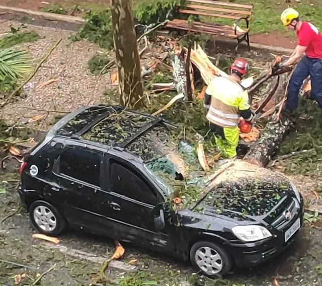 Militares do Corpo de Bombeiros em atuação após a Chuva forte e ventos que provocaram danos em Lavras