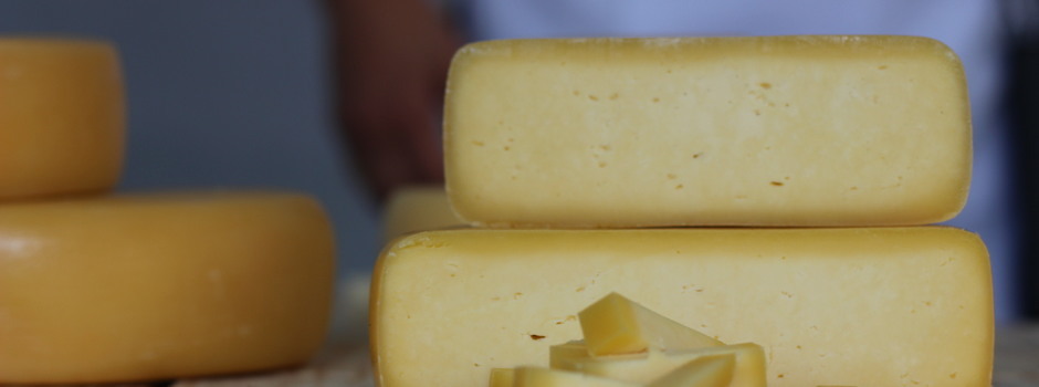 Emater-MG e UFLA lançam mestrado focado em queijos artesanais produção de queijos artesanais mineiros, reforçando tradição e qualidade da agroindústria local