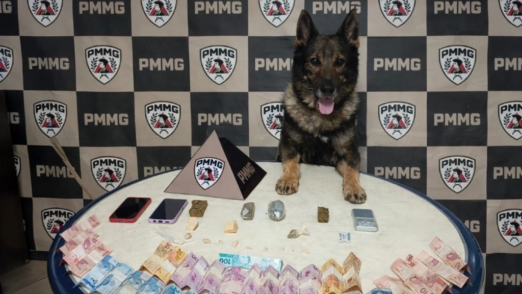 PM intensifica combate ao tráfico em Lavras Drogas apreendidas pela Polícia Militar em Lavras.