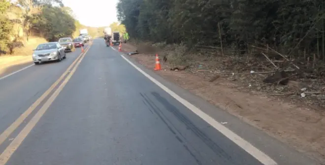 Cavaleiro morre após ser atingido por ônibus na BR-265